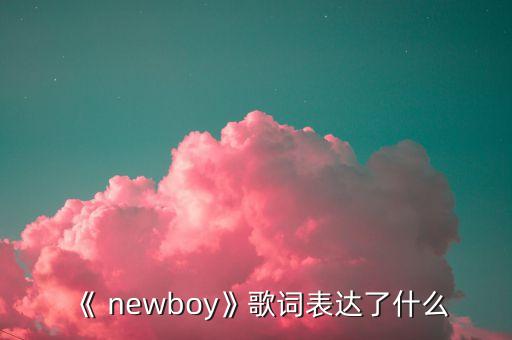 《 newboy》歌词表达了什么